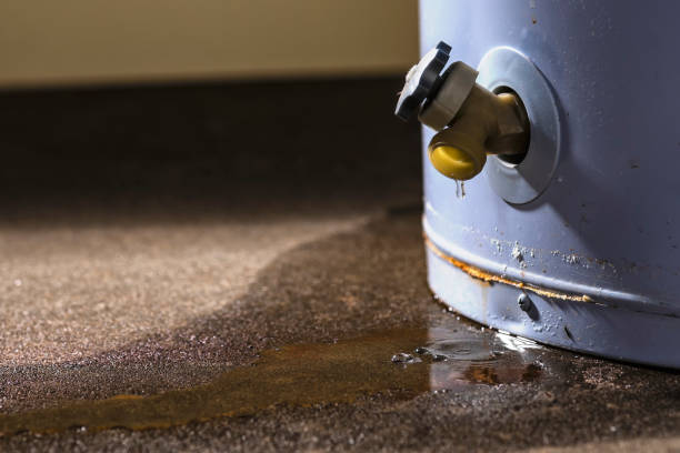 Best Water damage restoration near me  in Centerburg, OH