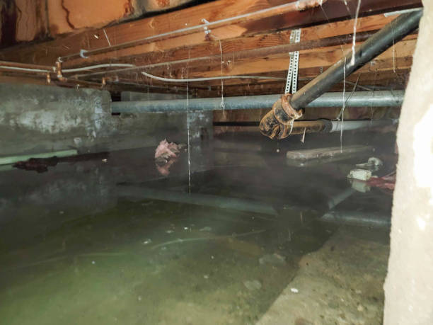 Best Residential water damage restoration  in Centerburg, OH