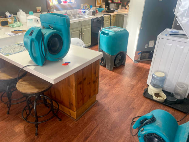 Best Water damage cleanup near me  in Centerburg, OH
