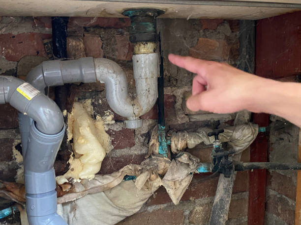 Best Water damage mitigation services  in Centerburg, OH