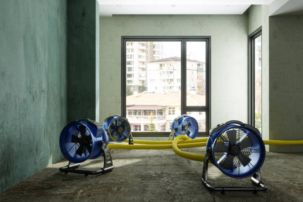 Best Fire Damage Restoration  in Centerburg, OH
